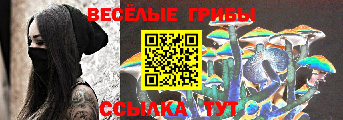 Галлюциногенные грибы Psilocybe  Вход с VPN  Алексин 